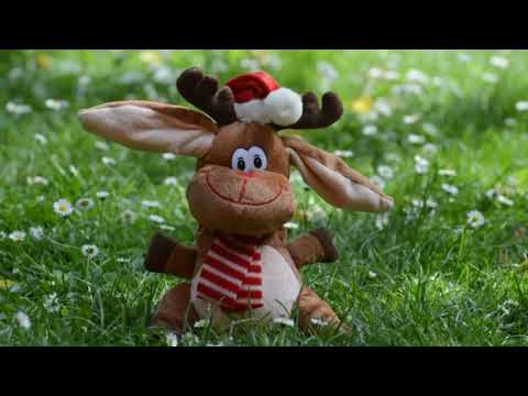 Ishq Kamaal Full Video song amazing End Fanny End Animals End Flowers Adda Fanny