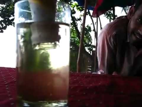 download lagu mp3 mp4 Chemicals In Beer, download lagu Chemicals In Beer gratis, unduh video klip Chemicals In Beer