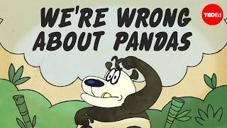 Are pandas the most misunderstood animal? - Lucy Cooke