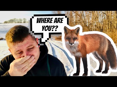 Can’t Find Fox Or Coyote Tracks?? Watch This Fox & Coyote Trapping Video