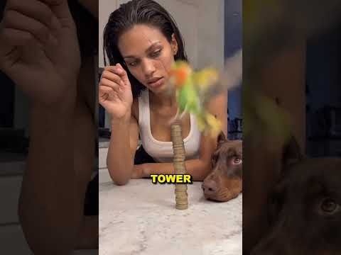 This Girl Made A Tower Of Coins
