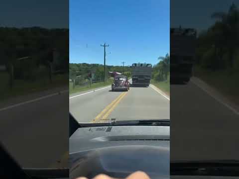 Um triste acidente marcou a manhã do dia 10 de novembro em Nova Roma do Sul (RS)