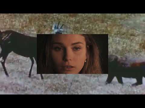 Video thumbnail for 1000 (sunset version)