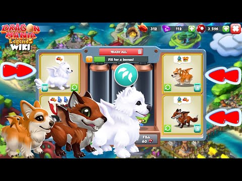 So Adorable baby Dragon (Primal Element) | Dragon Mania Legends