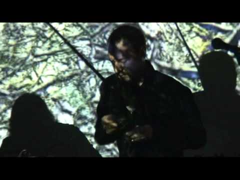 PAS - Post Abortion Stress live in 3 CoCart Music Festival 2011