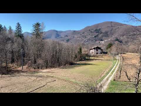 Video 4