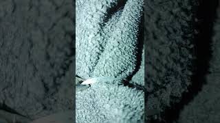 Download lagu how I single-handedly strap on light stick via 4 fingers mp3