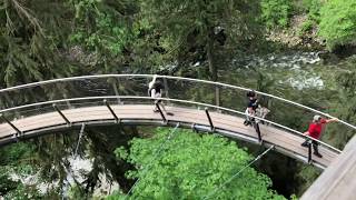 Capilano Suspension Bridge in North Vancouver, B.C.