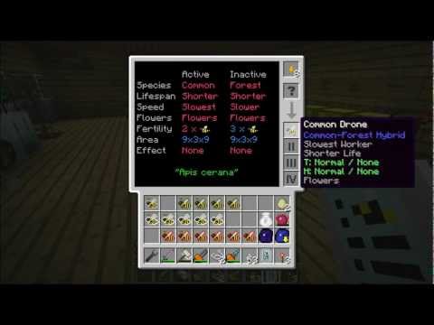 Minecraft with Mods - S2E14 - Forestry