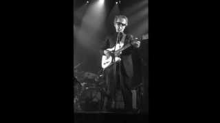 The Apartments - Goodbye train (live)