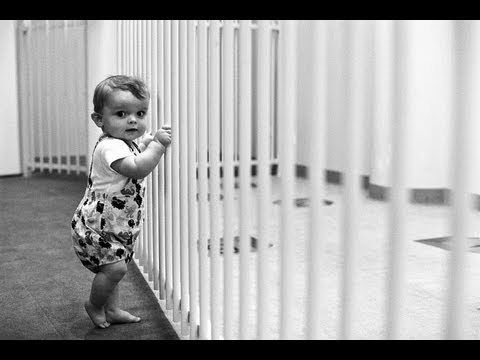 Stories of Human Evolution - Part II Standing On Your Own Two Feet