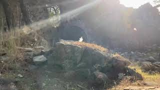 Yelbiz Kalesi | Bozyazı | MERSİN