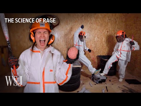 Rage Brain: Why Acts of Aggression Can Feel So Good