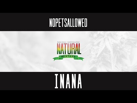 Nopetsallowed - Inana Feat  Bangkilan & Wickles