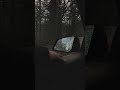 Moody Mornings In Oregon Oregon Pacificnorthwest Pnw Moody Pnwmoody