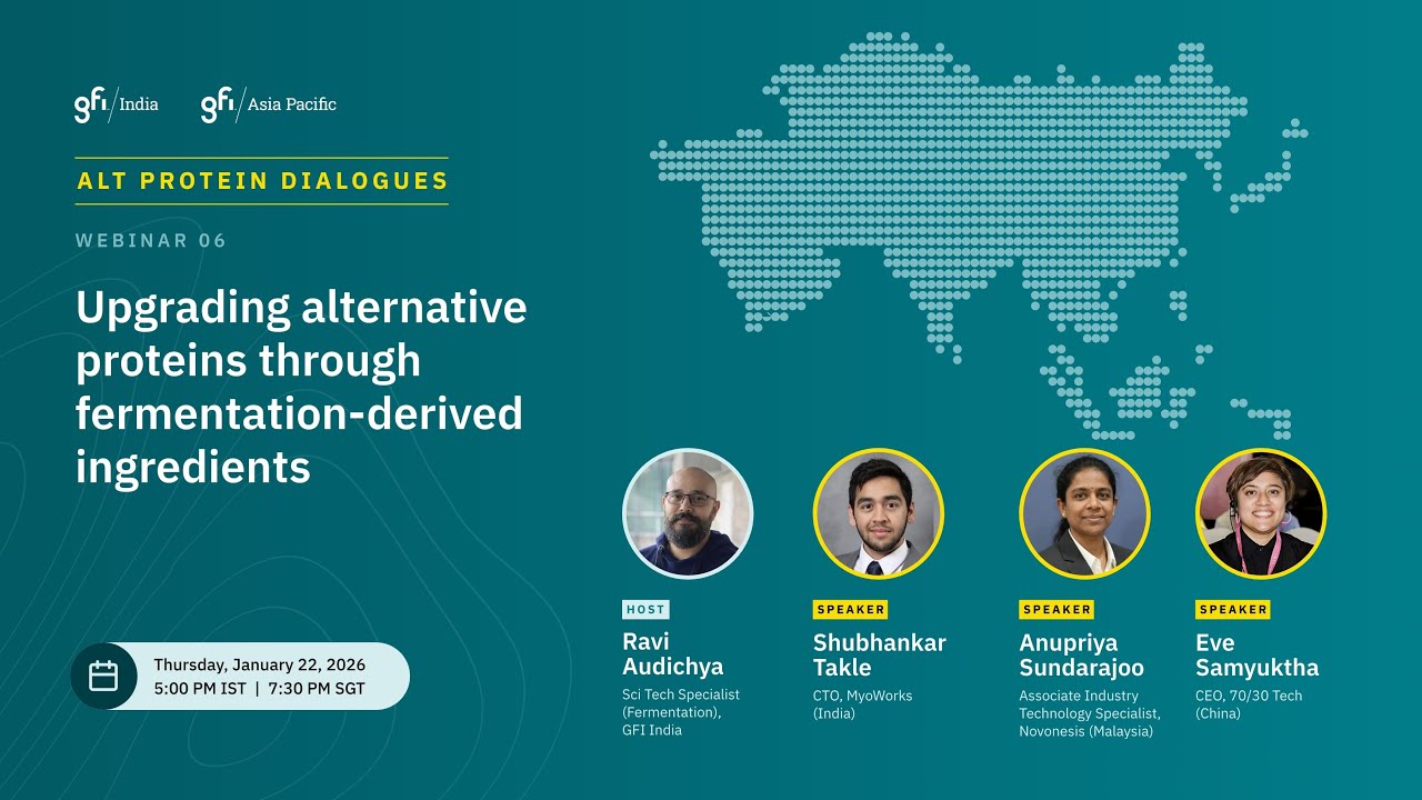 Webinar 6: Upgrading alternative proteins through fermentation-derived ingredients