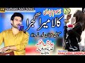Kala Mera Gajra Sohail Abbas Lonay Wala Pakistani Song Best Punjabi Songs 2025 Ks Studio 72