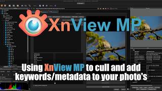Culling and adding metadata/keywords with XnView MP
