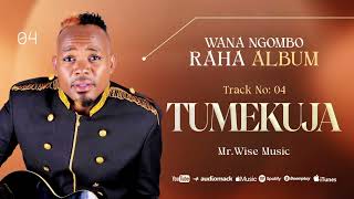 Download lagu TUMEKUJA  Mr.Wise ft Wana Ngombo  Audio mp3