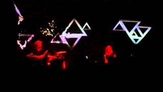 Cats On Trees Live Walking On The Line