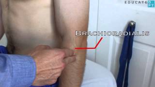 Thử Cơ Bằng Tay: Gấp Khuỷu Với Cẳng Tay Sấp