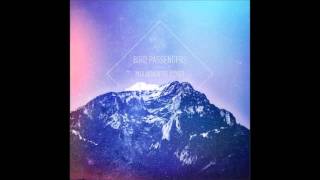 Bird Passengers - Waves Sara