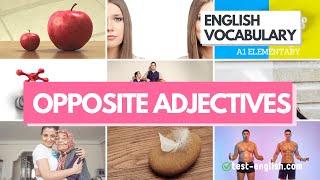 Opposite Adjectives – A1 English Vocabulary