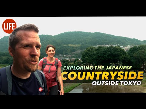 探索東京以外的日本鄉村。口袋山｜日本的生活 第170集 (Exploring the Japanese Countryside Outside Tokyo: Mt Koubou  | Life in Japan Episode 170)