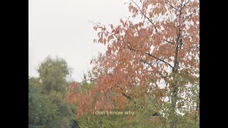 Musik-Video-Miniaturansicht zu I Don't Know Why Songtext von Sunflower Thieves