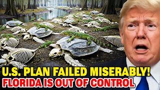 U.S Released Something That Kills Hundreds Of Florida’s Tortoises — Accident Or Failed Test?