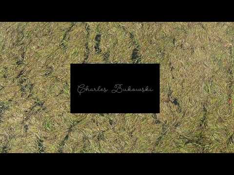 download lagu mp3 mp4 Charles Alpert, download lagu Charles Alpert gratis, unduh video klip Charles Alpert