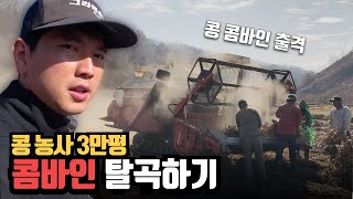 콩 농사 3만평 - 콤바인 탈곡 (극한알바?)