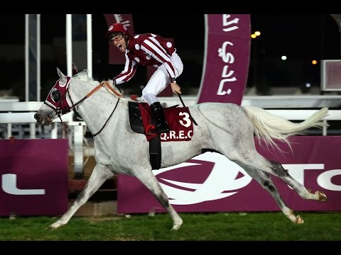 41st Race Meeting of Season 2015 / 2016