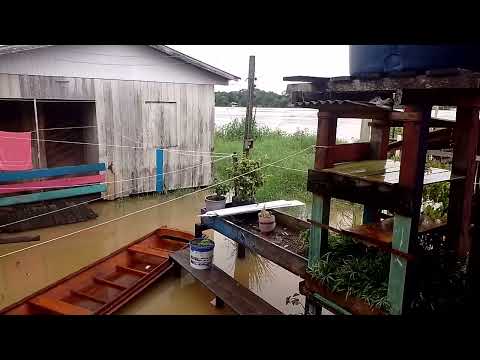 NÍVEL DO RIO EM ITAMARATI AMAZONAS | CASAS ESTÃO NA ÁGUA 😱