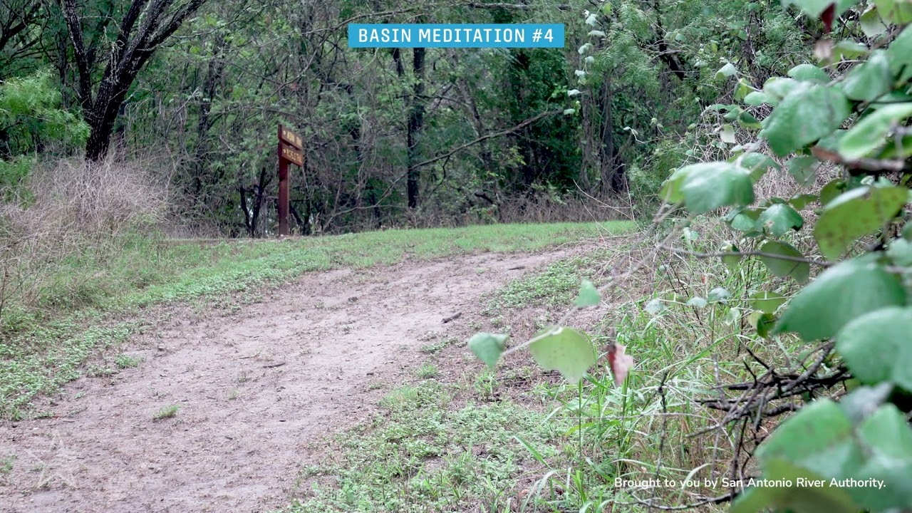 Medina River Sounds at Hendrick Arnold Nature Park - Basin Meditation