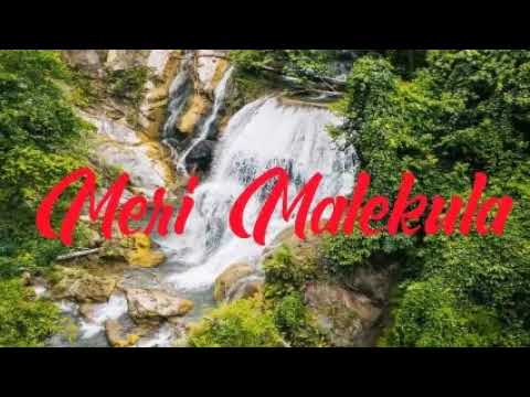 MERI MALEKULA - 2025 - SELE LSB ft Vanuatu stringband #VANUATU STRINGBAND  #pnglatestmusic