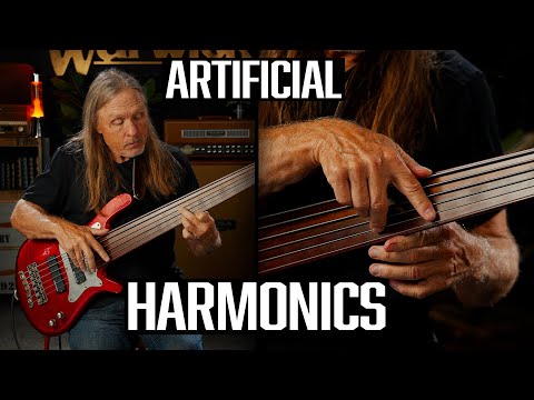 Bass Lesson: Artificial Harmonics w. Steve Bailey