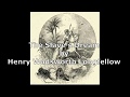 The Slave's Dream by Henry Wadsworth Longfellow | Full Explanation | Class 11