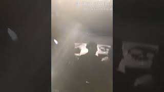 meus passageiros medonho do sbado kkk