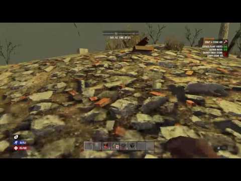 7 Days to Die - Test