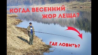 Где на реке ловить леща ранней весной