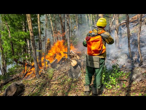 Аномальная жара и пожары на Колыме и в Якутии. Леса полыхают в Красноярском и Хабаровсков краях