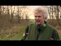 Gedumpte hangbuikzwijntjes laten zich niet makkelijk vangen