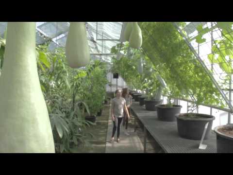 Medienprojekt KinderUni 2014: Die Grüne Schule der JGU