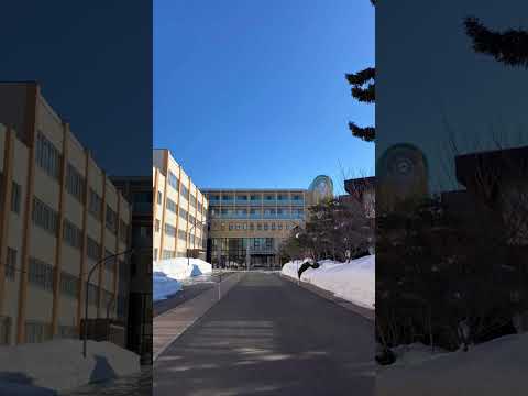 北海道武蔵女子大学/北海道武蔵女子短期大学　入学式の様子