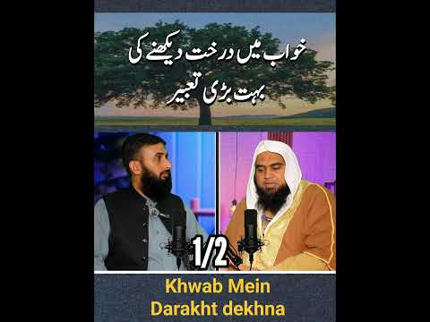 Seeing a tree in a dream | Seeing a tree in a dream | Dream interpretation