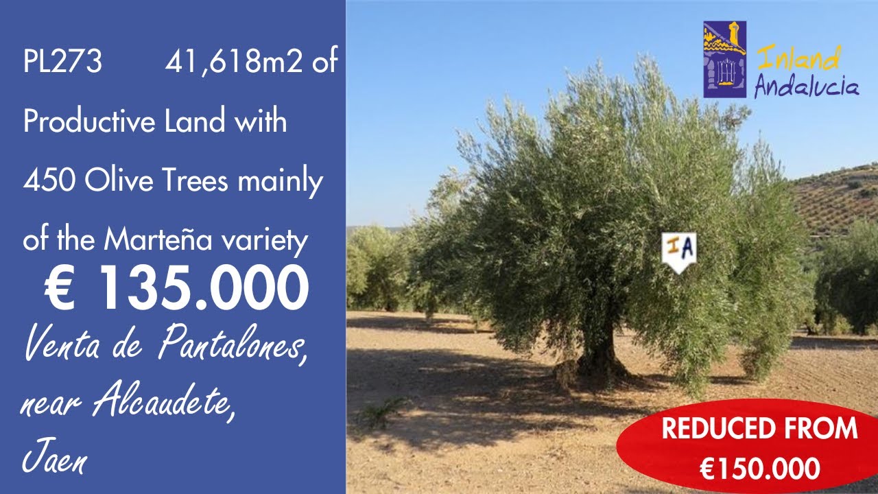Plot for sale in Alcaudete - PL273 Plot for sale in Alcaudete - PL273