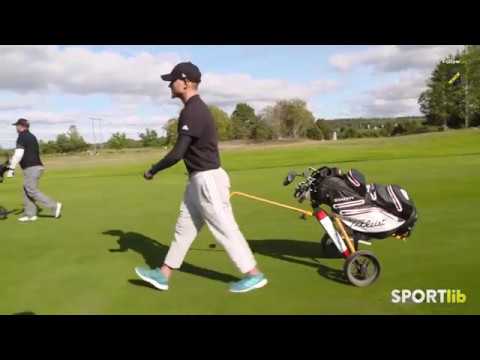 Amin Affane - den nya Tiger?