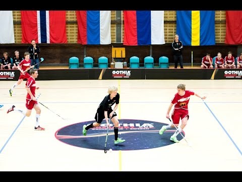 Welcome to Gothia Valhalla Center