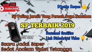 Download lagu SUARA PANGGIL WALET TERBAIK 2019 - CUITANNYA MIRIP SUARA ASLI BURUNG WALET BIRAHI mp3